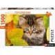 Nathan Puzzle Puzzle N 1500 p - Chaton en automne