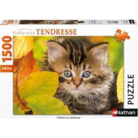 Nathan Puzzle Puzzle N 1500 p - Chaton en automne