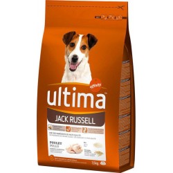 Ultima Croquettes Jack Russell Chiens Poulet Riz Céréales Complètes Format 1,5Kg (lot de 3)