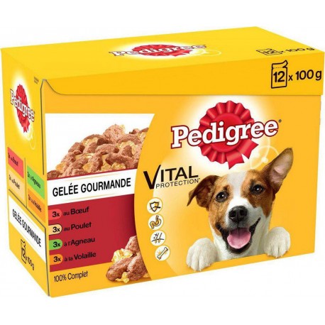 PEDIGREE Chien Sachet Gelée Gourmande 4 variétés 12x100g