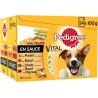 PEDIGREE SCHT SCE CHIEN 24X100