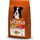 Ultima Croquettes Chiens Senior Medium Maxi +10Kg Poulet Carottes Pommes Haricots Verts Riz 7,5Kg