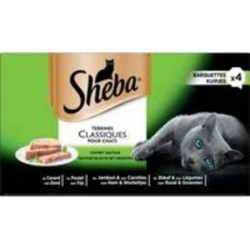 SHEBA COFFRE PRIMEUR BARQ4X85G 3065890121966