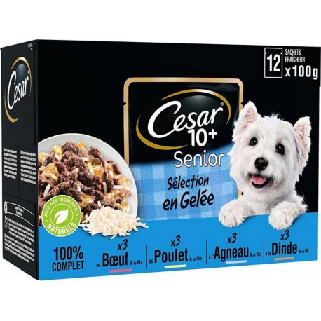 CESAR Sachet fraîcheur senior en gelée pour chien 12x100g