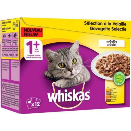 WHISKAS Sachets fraîcheur en gelée - A la volaille 12x100g