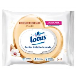 Lotus Papier Toilette Humide Amande 42 Lingettes (lot de 12 paquets soit 504 lingettes)