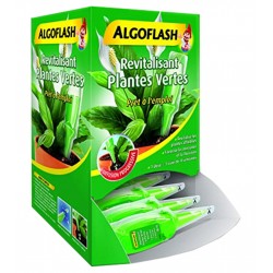 Algoflash Revitalisant Plantes Vertes Unidose Prête à l’emploi (lot de 10)