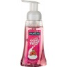 Palmolive Magique Pouss’Mousse Parfum Framboise 250ml (lot de 10)