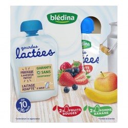 Blédina Gourdes Lactées Fruits Rouges et Pomme Banane (de 10 à 36 mois) par 4 gourdes de 85g (lot de 4 soit 16 gourdes)