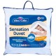 Bleucalin Oreiller Sensation Duvet 60x60cm (lot de 2)