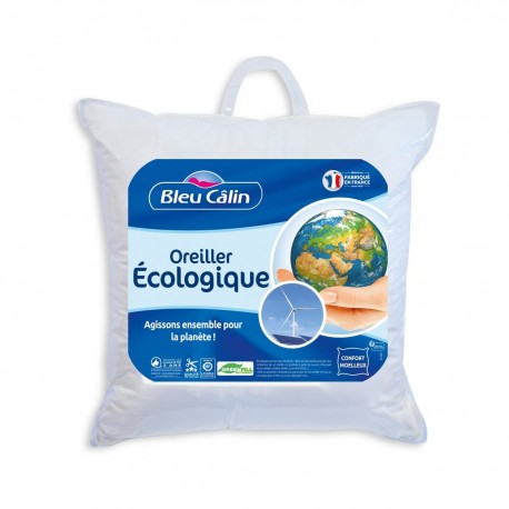 Bleucalin Oreiller Écologique 60x60cm (lot de 2)