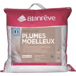 Blanrêve Blanreve Oreiller duvet et plumettes oie et canard moelleux anti-acariens 60x60cm (lot de 2)