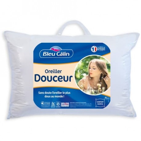 Bleucalin Oreiller Douceur 60x60cm (lot de 2)