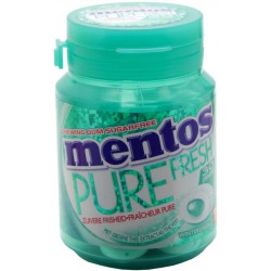Mentos Gum Pure Fresh Wintergreen 110g