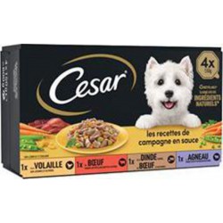 César Les Recettes de Campagne Mini filets en sauce pour Chien 4 barquettes de 150g (lot de 4)