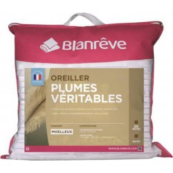 Blanrêve Lot de 2 oreillers moelleux en plumes NATUREL 60x60cm