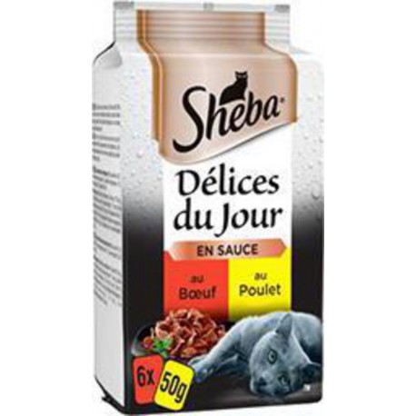 SACHT FRAIC DELICE JR 50G X 6 4770608253608