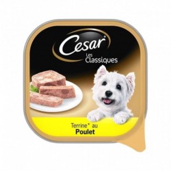 Cesar Les Classiques Terrine au Poulet 300g (lot de 6)