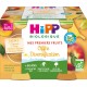 Hipp Biologique Petits pots bébé dès 4/6 mois, assortiment sans sucres ajoutés, Sans gluten Bio