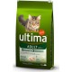 ULTIMA CHAT ADULTE POULET RIZ 7,5Kg (lot de 2)