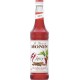 Sirop Monin Spicy 70cl