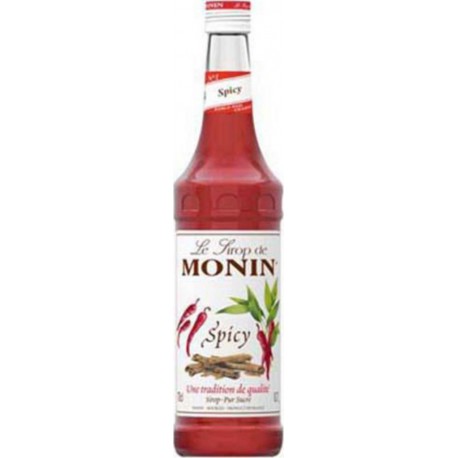 Sirop Monin Spicy 70cl