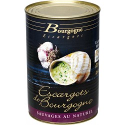 Bourgogne Escargots Escargots de Bourgogne Moyen