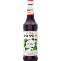 Sirop Monin Mûres