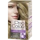 8 00 Schwarzkopf Coloration Blond Clair 8.00 SCHWARZKOPF