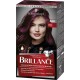 Schwarzkopf Schwarzkopf Coloration cheveux brillance ultra violet 860