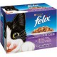 FELIX SACHET EMINCE 12X100G 3222270010597