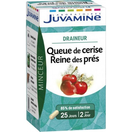 Juvamine Minceur Draineur Queue de Cerise Reine des Prés (lot de 2)