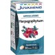 Juvamine Équilibre Articulations Harpagophytum (lot de 2)