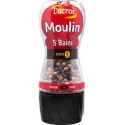 Ducros Moulin 5 Baies Doux 24g