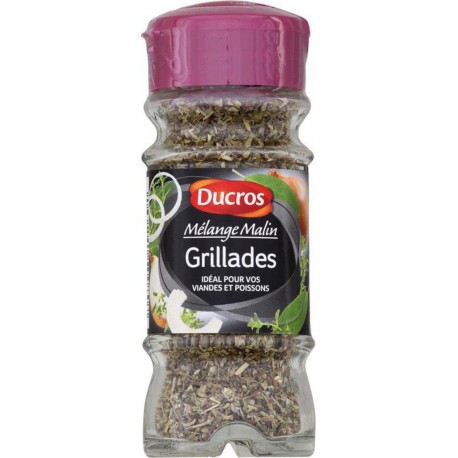 Ducros Mélange Malin Grillades Idéal pour vos Viandes et Poissons 17g