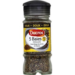 Moulin poivre 5 Baies réglable, Ducros (24 g)