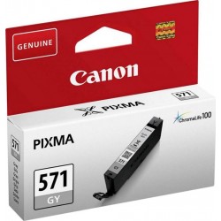 Canon Cartouche d’Encre Pixma ChromaLife 100 571 Gris