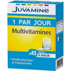 Juvamine 1 Par Jour Multivitamines Vitalité Physique et Intellectuelle