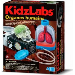 4m - Kidz Labs Kit de fabrication Kidzlabs : Organes humains